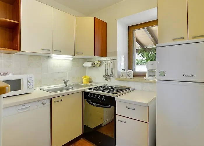 Viola 빌라 크르니카